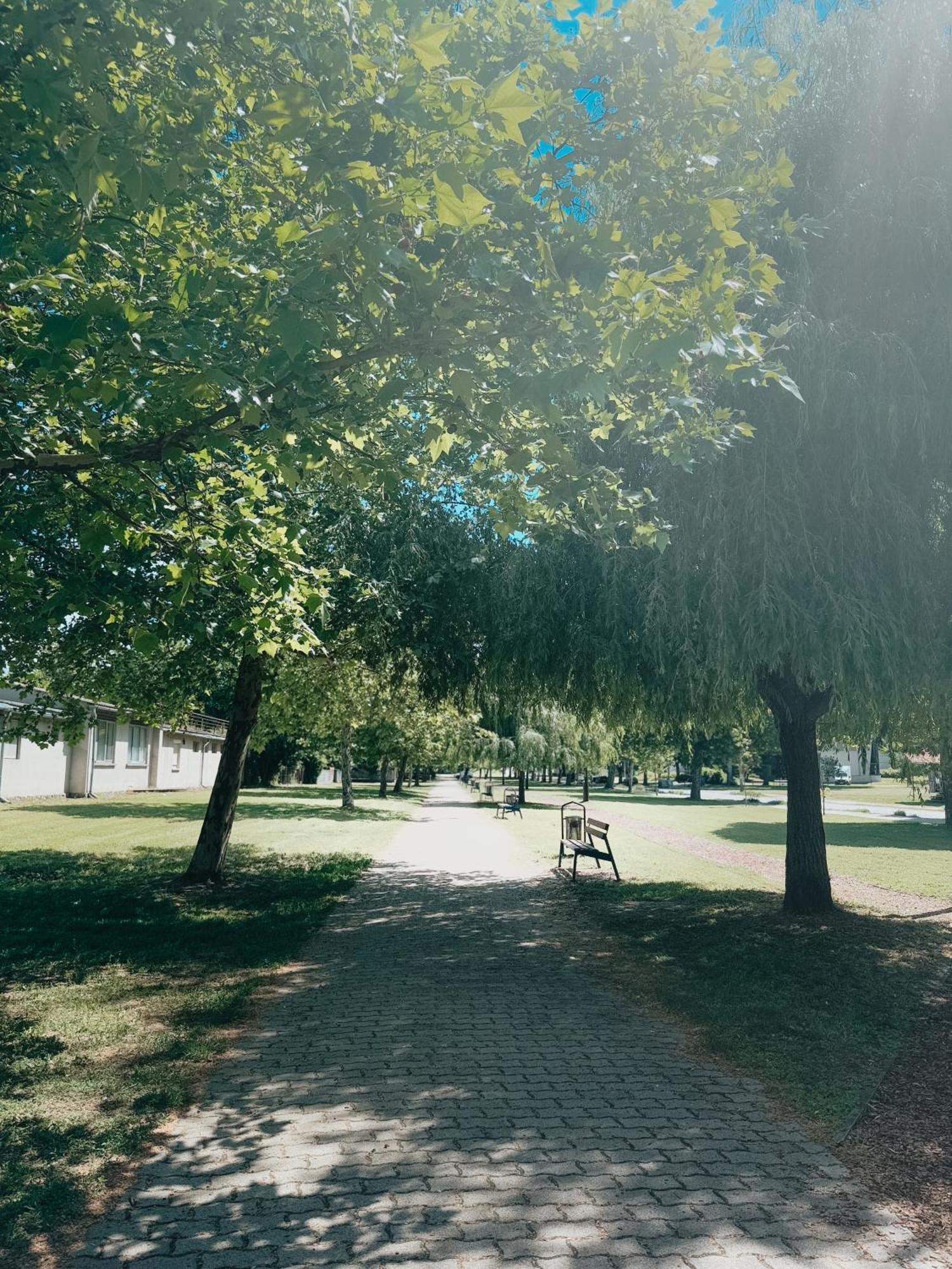 Sobri Halaszcsarda Es Panzio Baja Bagian luar foto